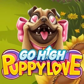 Go High Puppy Love game by RubyPlay – logo hosted on Glorion Casino